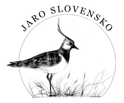 JARO SLOVENSKO